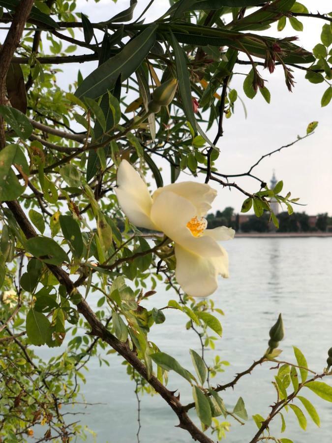 Esclusivo Appartamento- 6 Persone In Villa Liberty Lido di Venezia Bagian luar foto